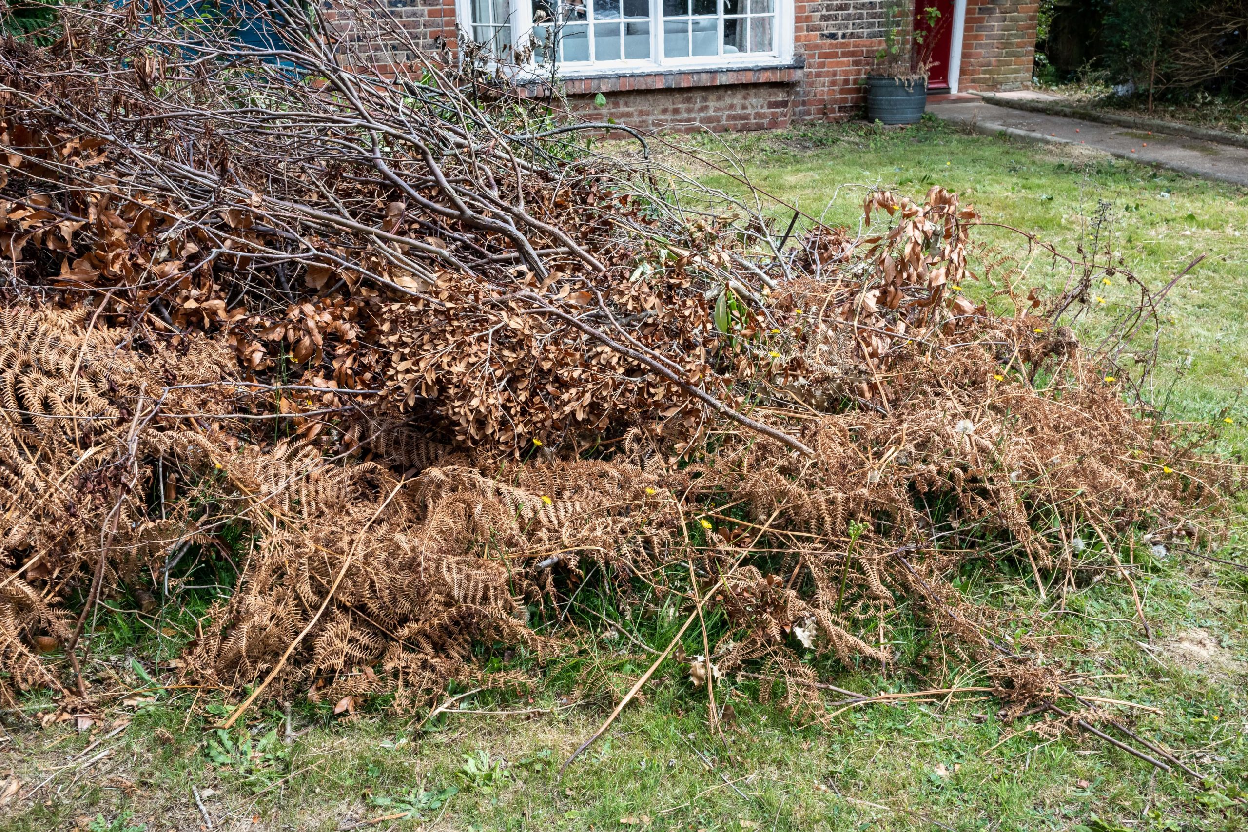 Garden Clearance West Wickham BR4