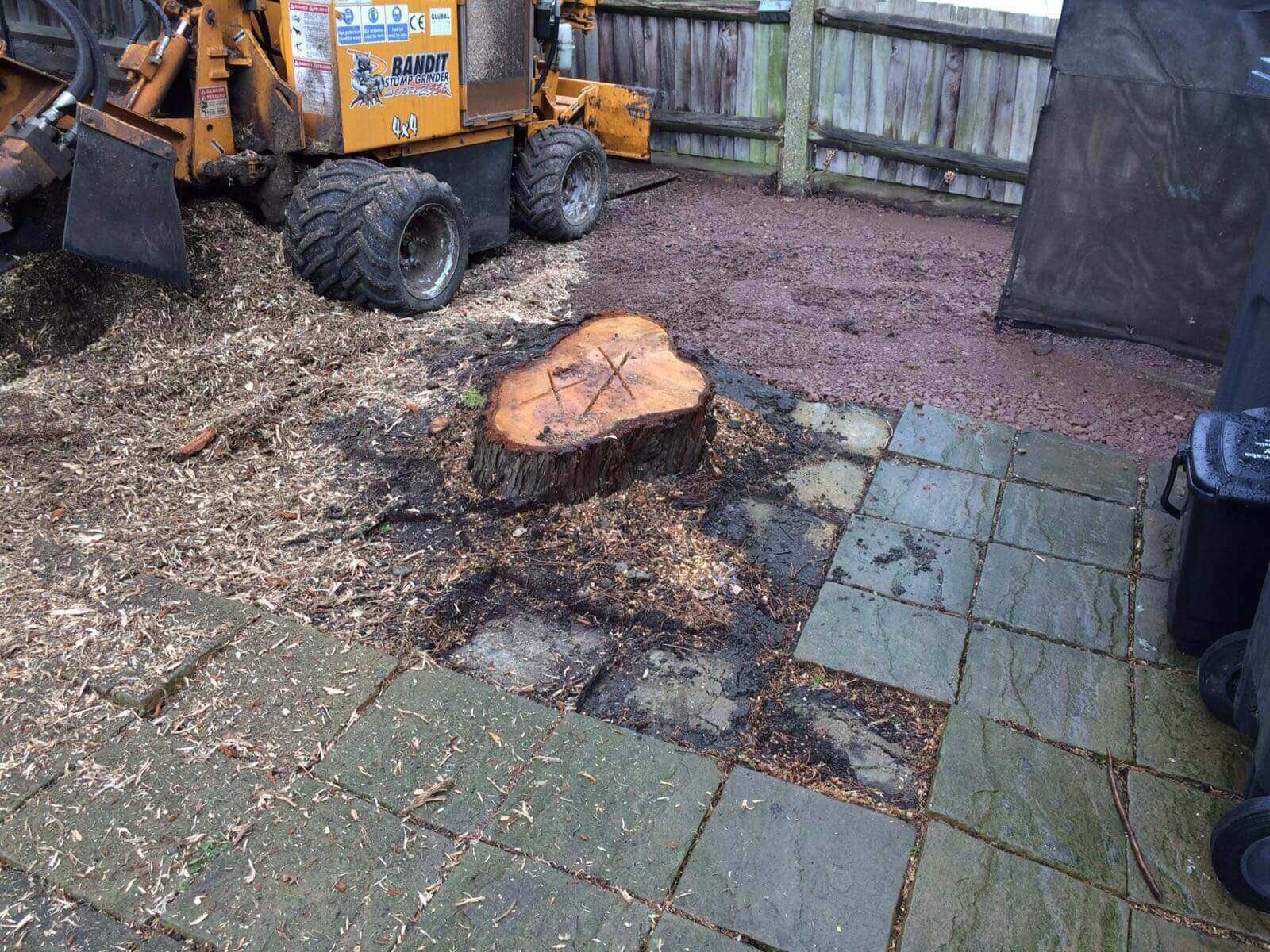 Tree Surgeons West Wickham BR4