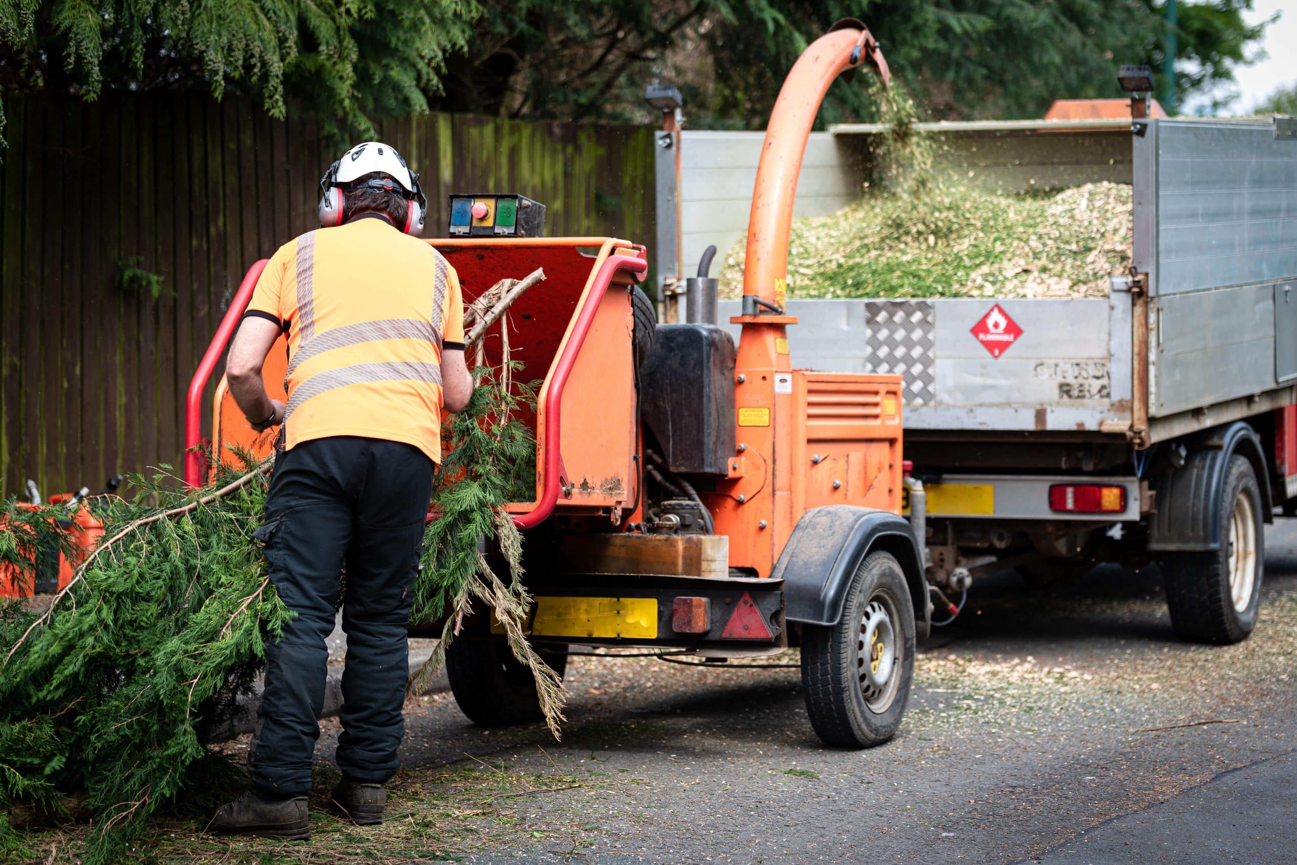 Tree Stump Grinding/Removal West Wickham BR4